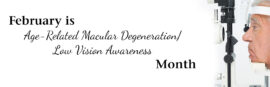 macular degeneration low vision