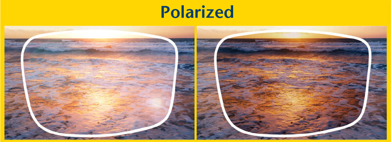 Polarized Lenses